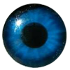 Eyes
