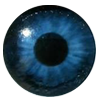 Eyes