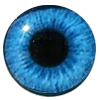 Eyes
