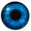 Eyes
