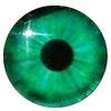 Eyes