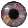 Eyes